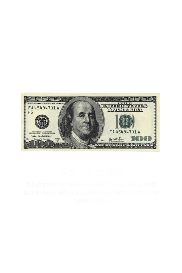 FU*K LOVE (Dollor) Premium T-Shirt